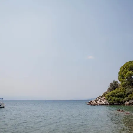 Sea Diamond كاتو جاتزي