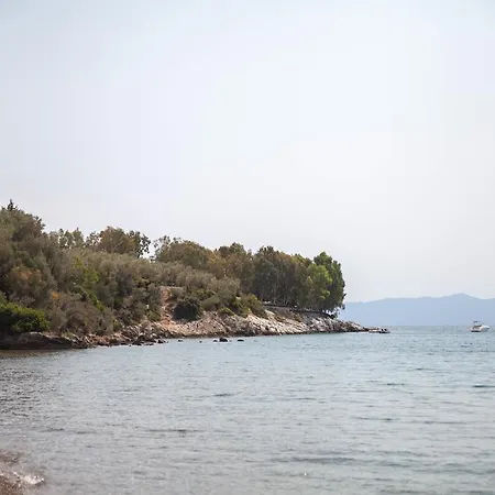 Sea Diamond